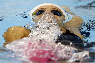 Pan Am Games: Swimming