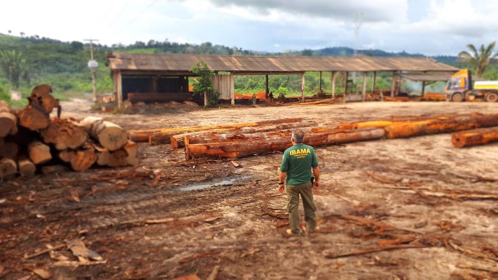 Diretor do Ibama se encontrou com madeireiros antes de derrubar licença para exportação