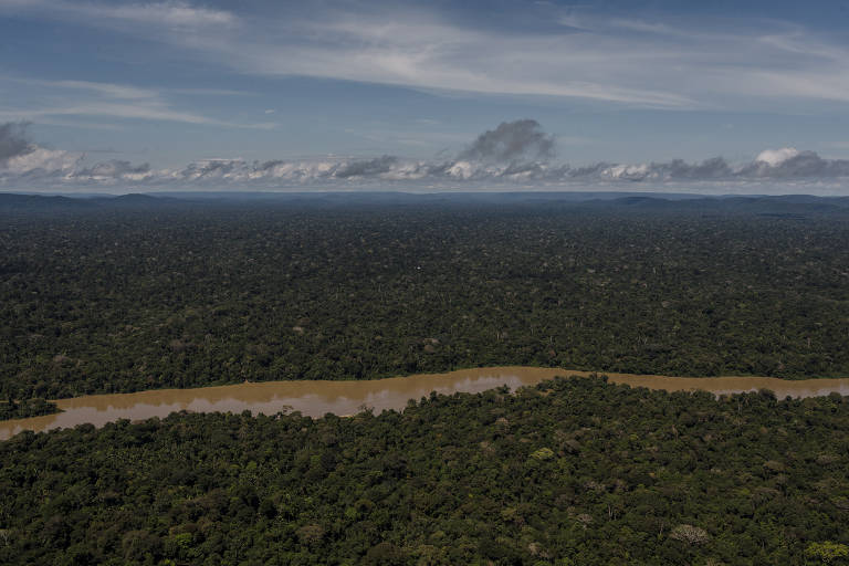 Garimpo ilegal atinge rio Jamanxim, na Floresta Nacional Itaituba II, em junho de 2017
