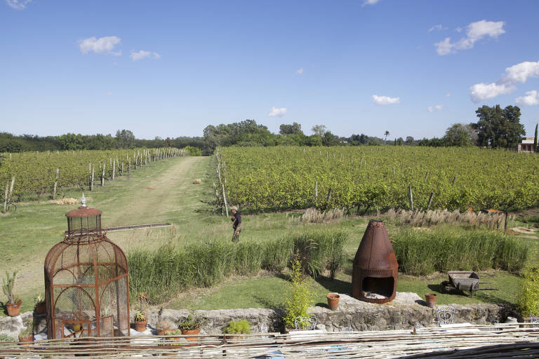 Região de Carmelo, na costa oeste do Uruguai, atrai pelos bons vinhos