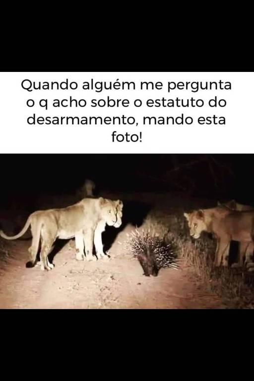 No WhatsApp e no Telegram, bolsonaristas buscam dar tom espontâneo a protestos