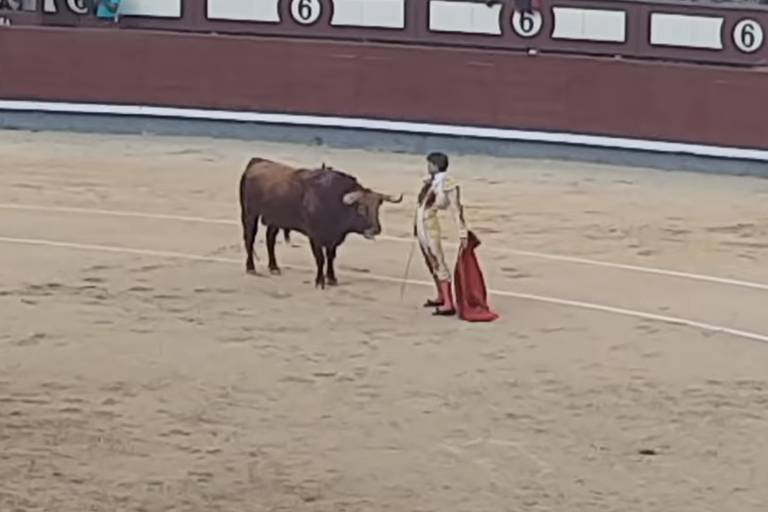 Toureiro leva chifrada no ânus durante duelo em Madri; assista
