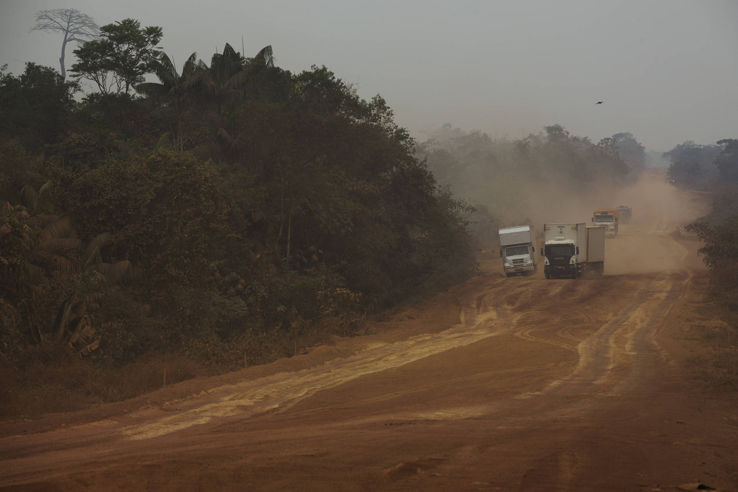 Brasil concentra retrocessos em unidades de conservação ambiental