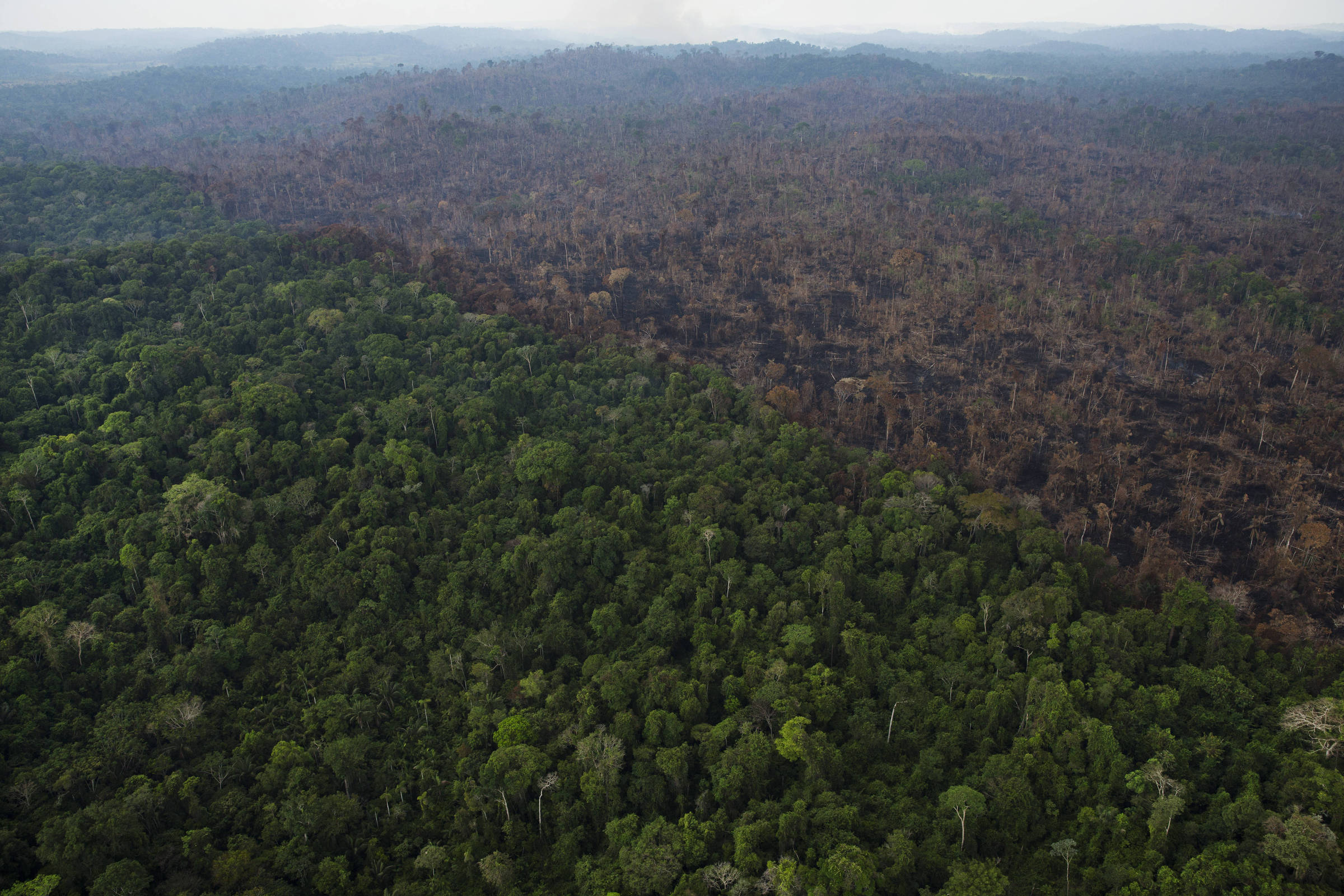 Salles critica Inpe e quer empresa privada para monitorar Amazônia