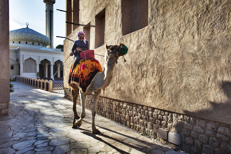 Camelo em Al Fahidi, o centro histórico de Dubai