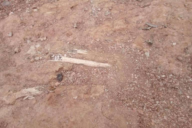 Restos de ossadas humanas expostas ao sol, em sítio arqueológico do Parque Estadual de Canudos