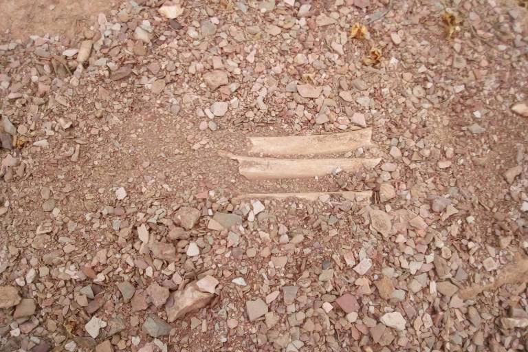 Restos de ossadas humanas expostas ao sol, em sítio arqueológico do Parque Estadual de Canudos 