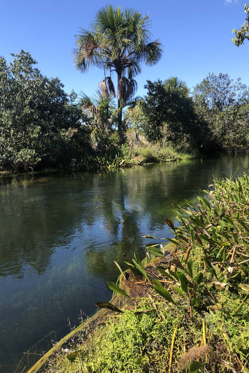 Rio dos Santos, que corta a comunidade Aldeia, em Formosa do Rio Preto (BA); área está em litígio com a fazenda Estrondo