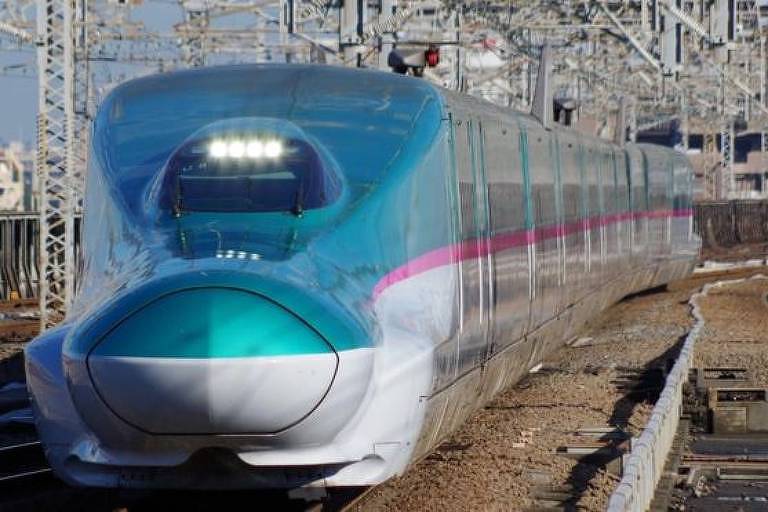 Uma lesma pode ter causado a interrupção da circulação de trens na ilha de Kyushu, no Japão