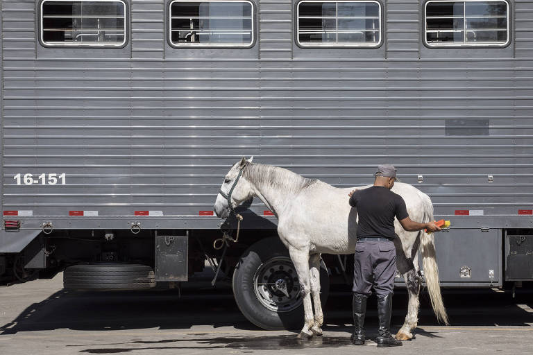 Poste energizado mata cavalo em praça e moradores temem 