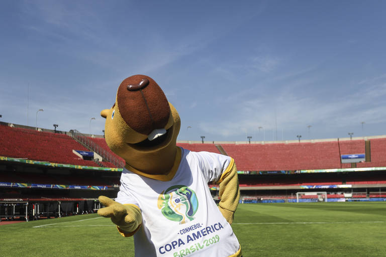 Mascote da Copa América, capivara tem contaminação por metais