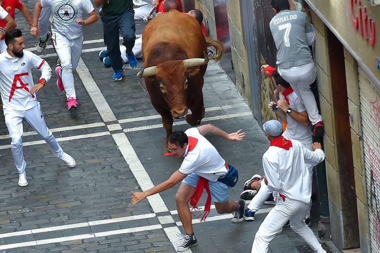 Entenda como funcionam as touradas e como vivem os touros bravos -  18/04/2021 - Mundo - Folha