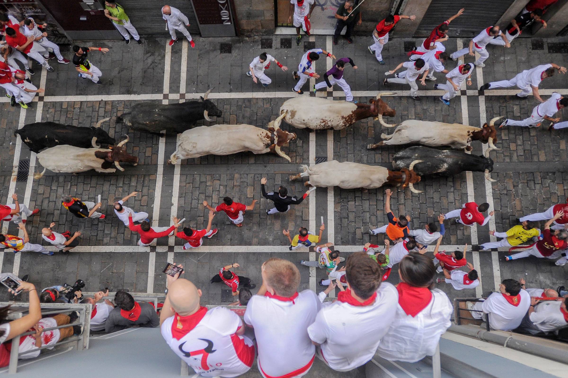 Festa de São Firmino agita cidade da Espanha com vinho e corrida de touros  - Fotos - UOL Notícias