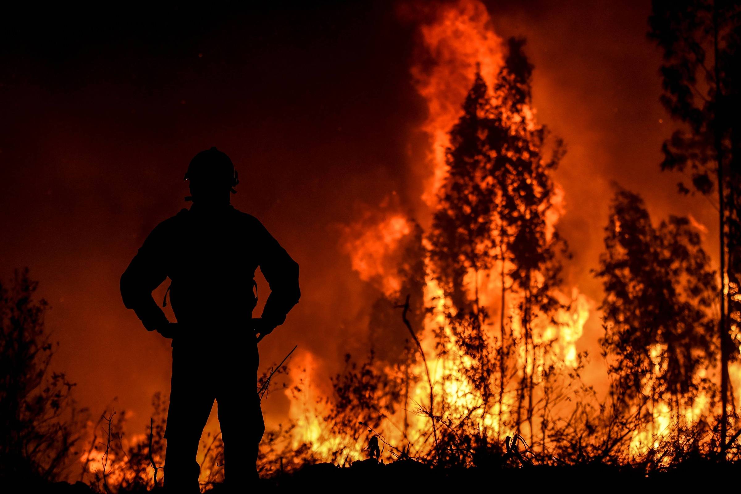 Пожары и т д в. Пожар в лесу. Лес в огне. Пожар картинки. Сильный Лесной пожар.