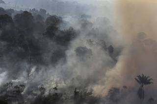 Smoke billows as an area of the Amazon rainforest is burnt to clear land for agriculture near Novo Progresso