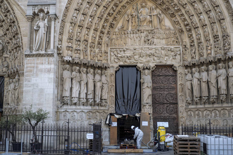Calor na Europa ameaça Notre-Dame e faz tigres comerem gelo na Bélgica