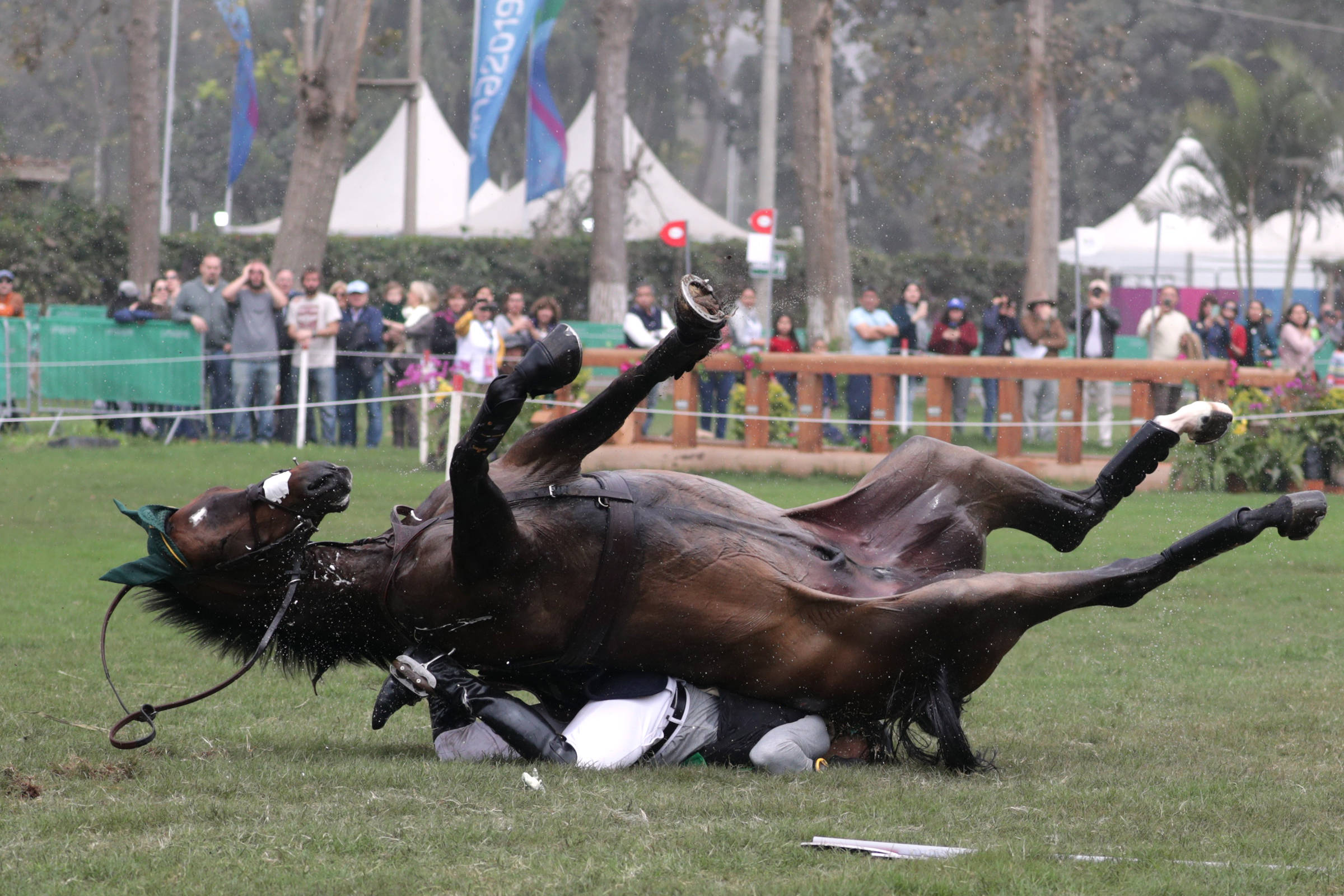 Peão cai do cavalo, tem convulsão e perna quebrada em treino; veja vídeo