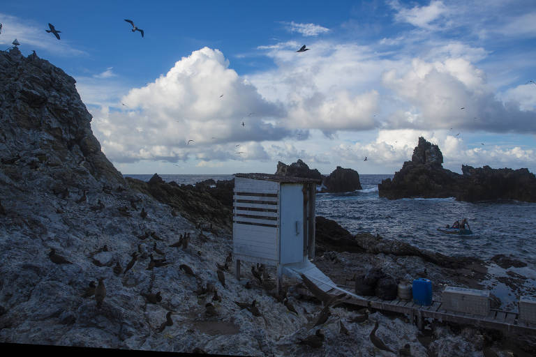 Terremoto de 6,9 graus atinge oceano Atlântico perto de Fernando de Noronha