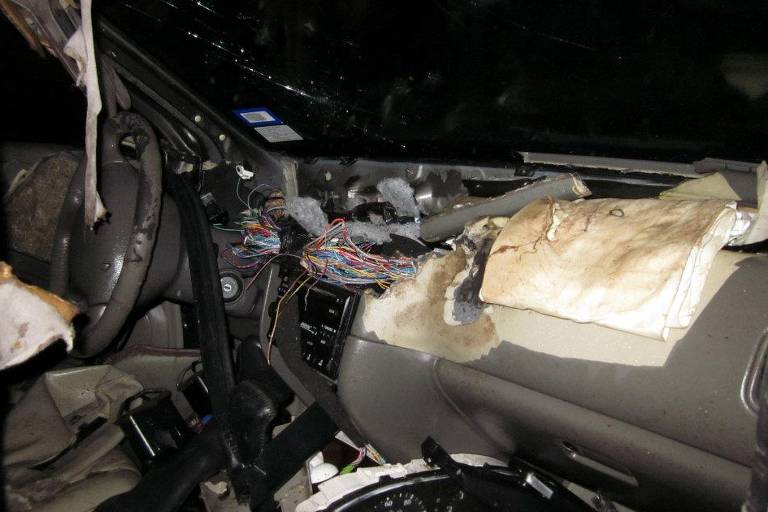 Urso fica preso dentro de carro nos Estados Unidos e destrói veículo