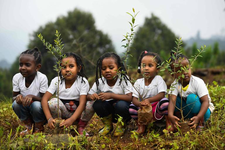 Etiópia bate recorde de árvores plantadas em único dia