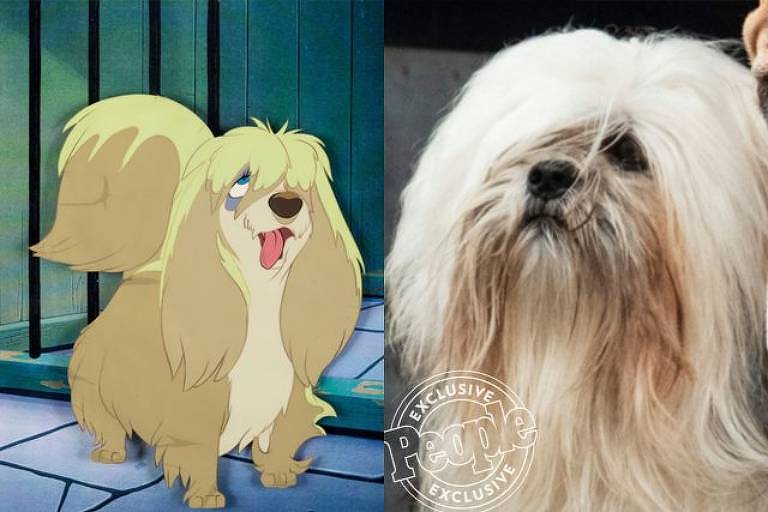 Veja os cães do live-action de 'A Dama e o Vagabundo