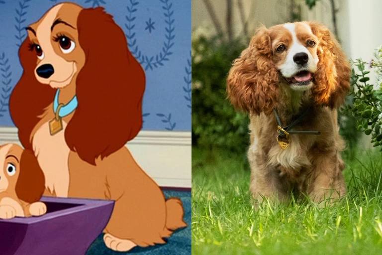 Versão live-action de A Dama e o Vagabundo, da Disney, revela elenco  canino - A Broadway é Aqui!