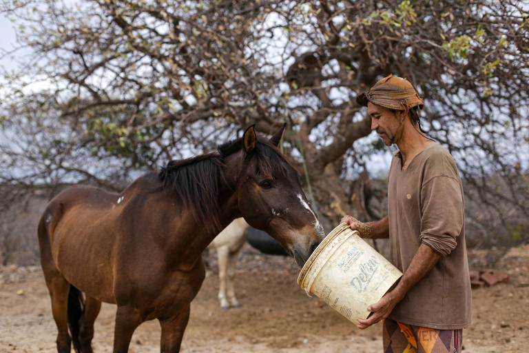 Hoje, a família do agricultor corre o mesmo risco em Ladeira Grande, na zona rural de Casa Nova (BA)