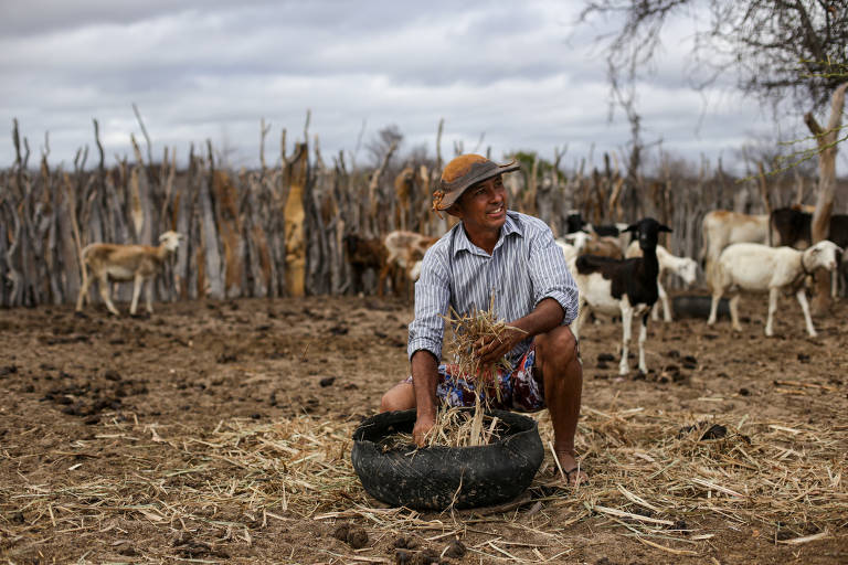 Avelar cuida de caprinos perto de sua casa