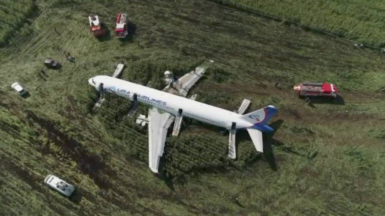 Avião russo faz pouso de emergência em milharal após colidir com pássaros