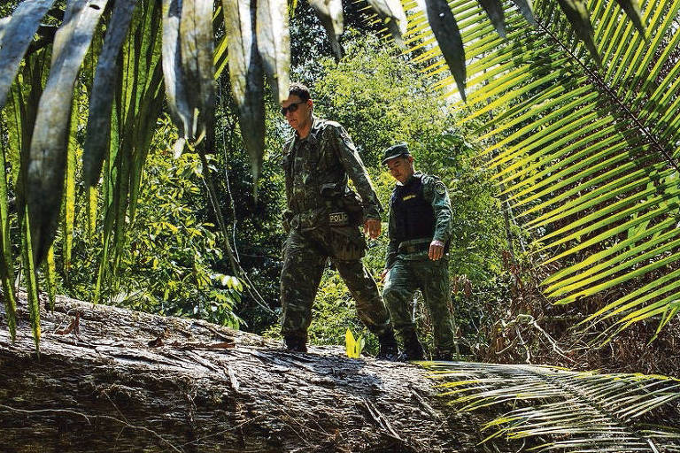 Teoria conspiratória da ditadura guia Bolsonaro na Amazônia