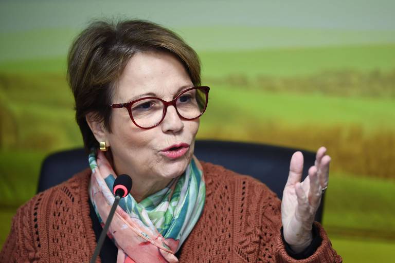 Brasil não deve se meter na guerra entre China e Estados Unidos, diz ministra da Agricultura