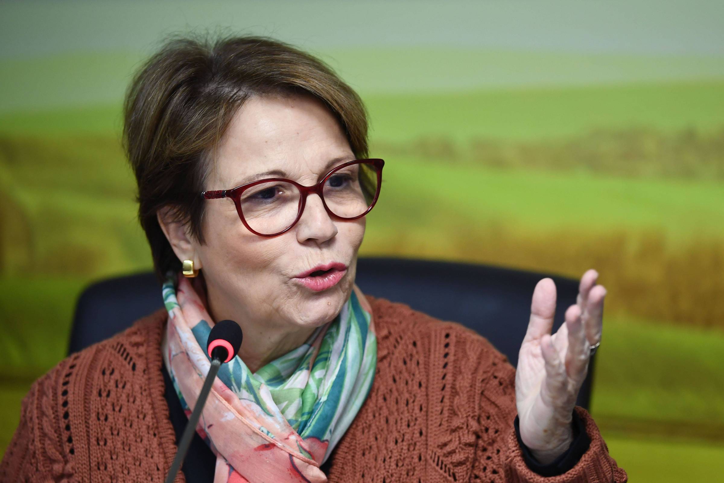 Não podemos dizer que agronegócio é o grande destruidor da Amazônia, diz ministra