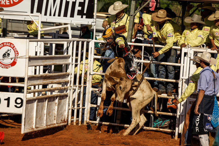 Clube Sertanejo - Modalidade de Rodeio Bulldogging