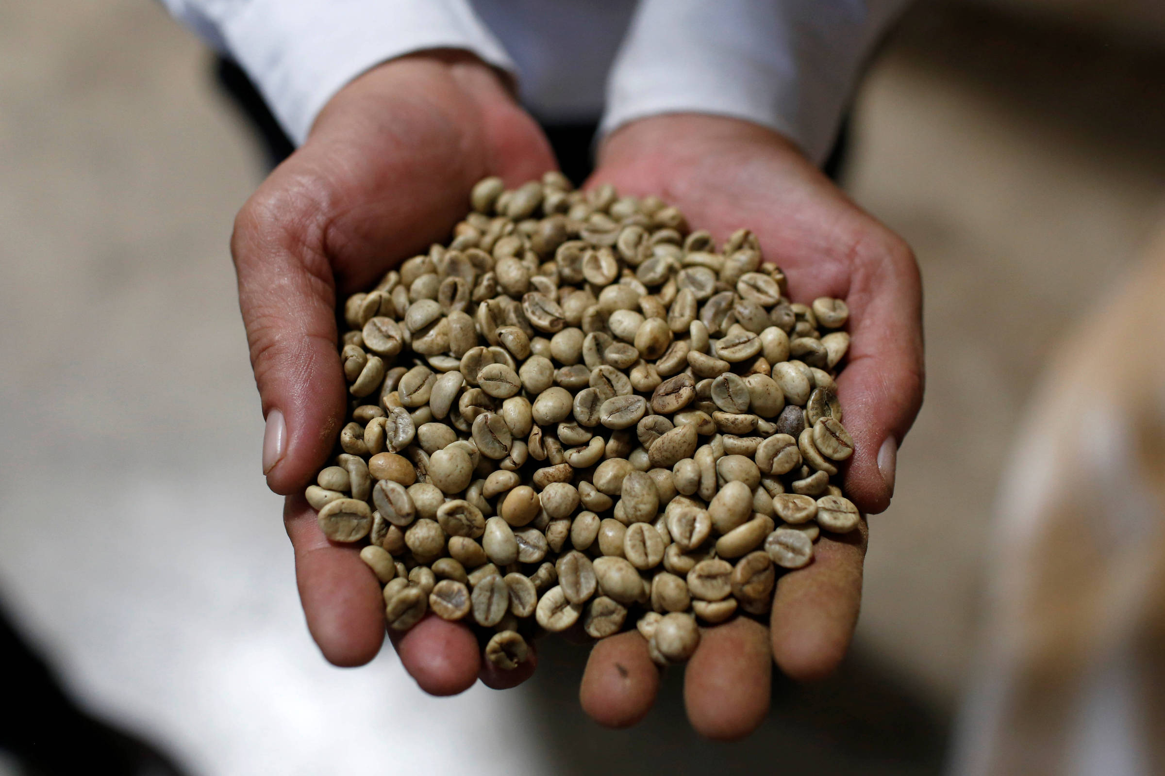 Coffee from SP breaks record and sells for R,410/kg – 12/14/2023 – Café na Prensa