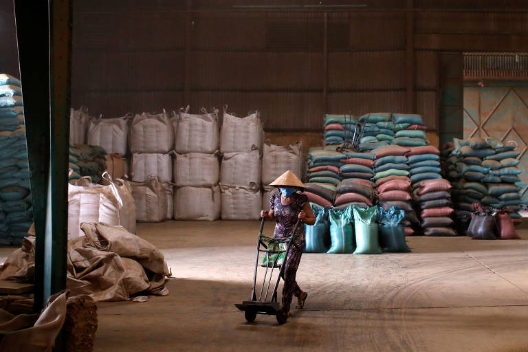 Vietnã aumenta produção de café