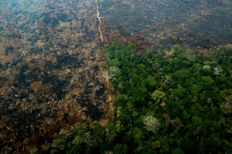 Queimadas se espalham pela Amazônia