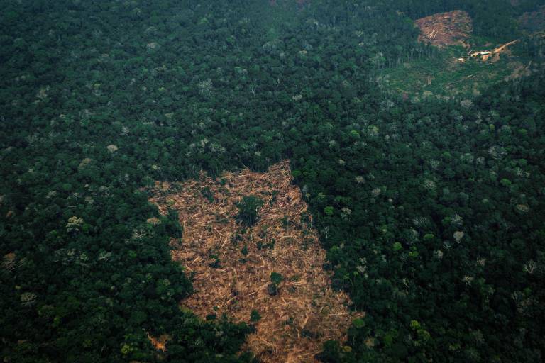 Queimadas se espalham pela Amazônia