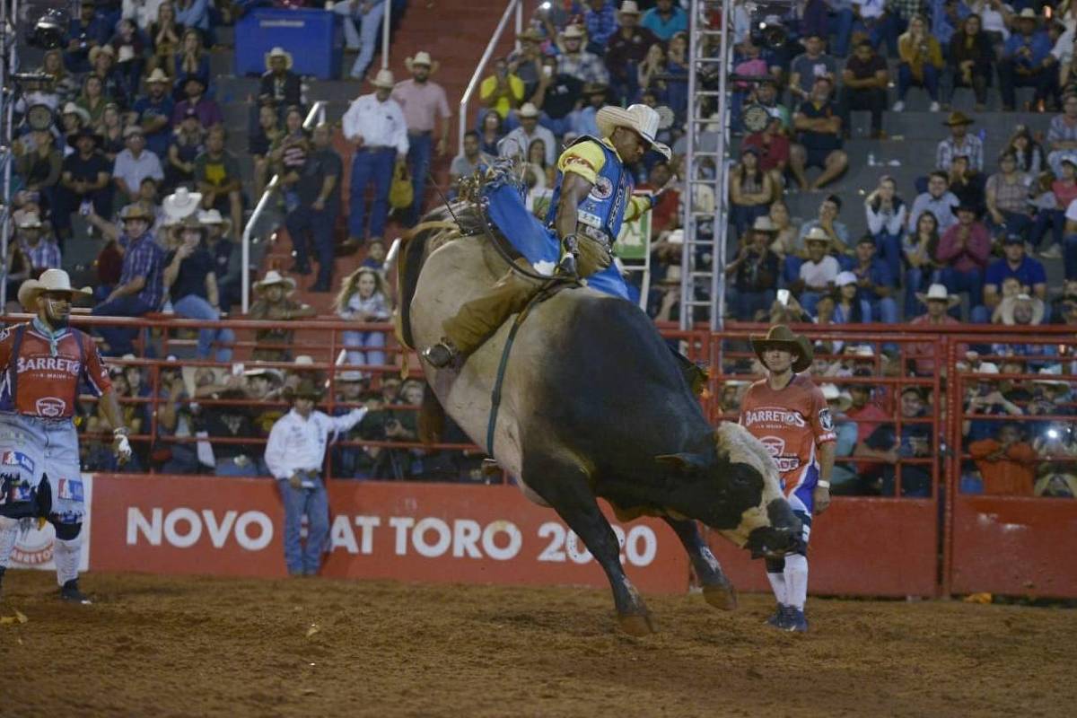 Rodeio toros e cavalos 