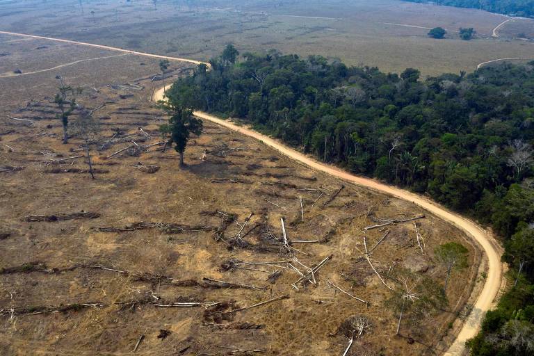 Área desmatada nas proximidades de Porto Velho (RO); Brasil sofre pressão para preservar florestas