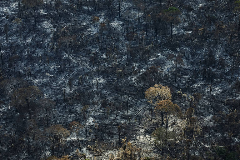 Vista aérea de área desmatada e queimada