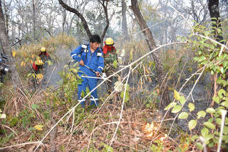 Bolivia's President Evo Morales sprays water in a burned forest in San Ignacio de Velasco,
