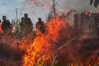 Militares fazem treinamento de combate a incêndios nas matas em Altamira, no Pará