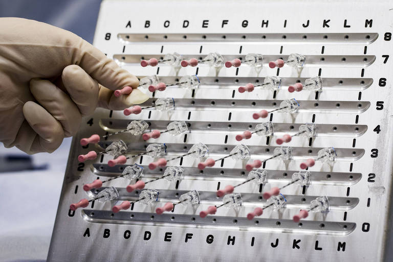 A médica Cecilia Haddad mostra montagem de agulhas com sementes de iodo para tratamento de próstata no Hospital Sirio-Libanês, em São Paulo