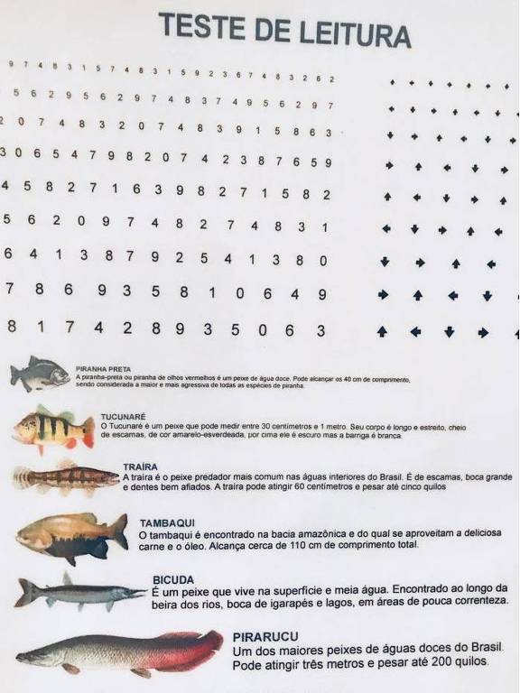No quadro elaborado pelo Instituto, as ilustrações dos peixes estão ordenadas de acordo com os tamanhos reais das principais espécies da região