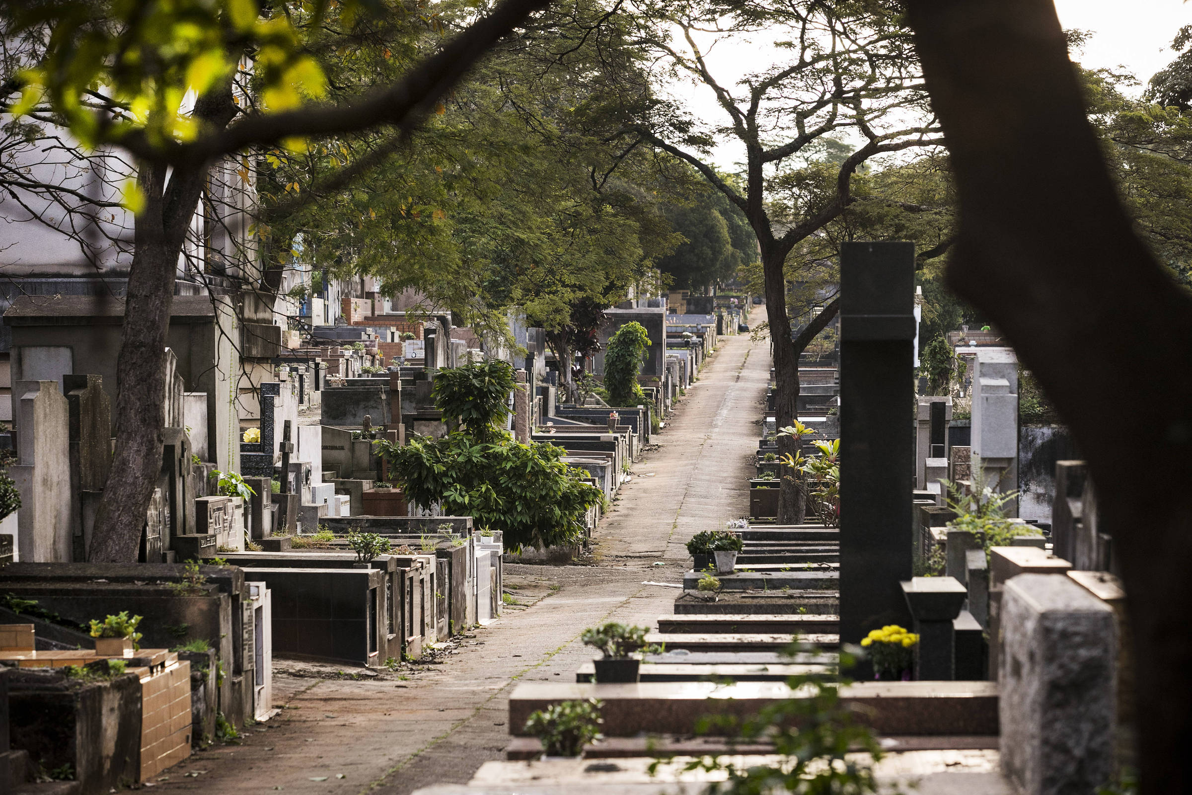 Concessão De Cemitérios Em Sp Inclui Criação De Memoriais Para Vítimas 