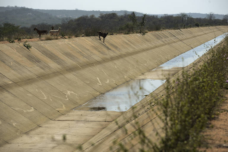 Canal da transposição quase seco próximo à Estação de Bombeamento 6, em Sertânia (PE)