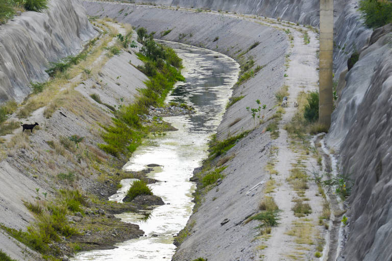 Canal da transposição com pouca água e tomado por pasto
