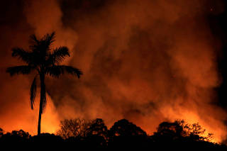 A fire burns a tract of Amazon jungle as it is cleared by loggers and farmers near Porto Velho