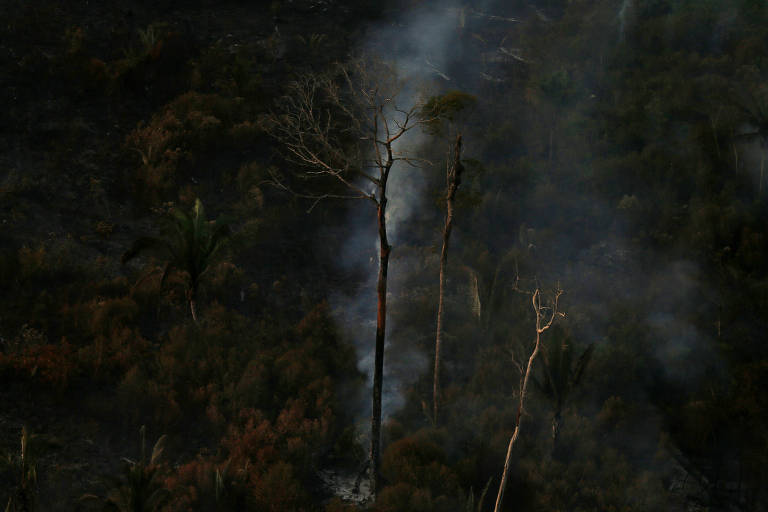29 de agosto - O presidente Jair Bolsonaro chama a ajuda internacional oferecida pelo G7 aos países amazônicos de esmola. Cerca de R$ 83 milhões foram oferecidos como ajuda no combate às queimadas; ONU propõe reunião sobre a Amazônia durante a Assembleia Geral das Nações Unidas em setembro