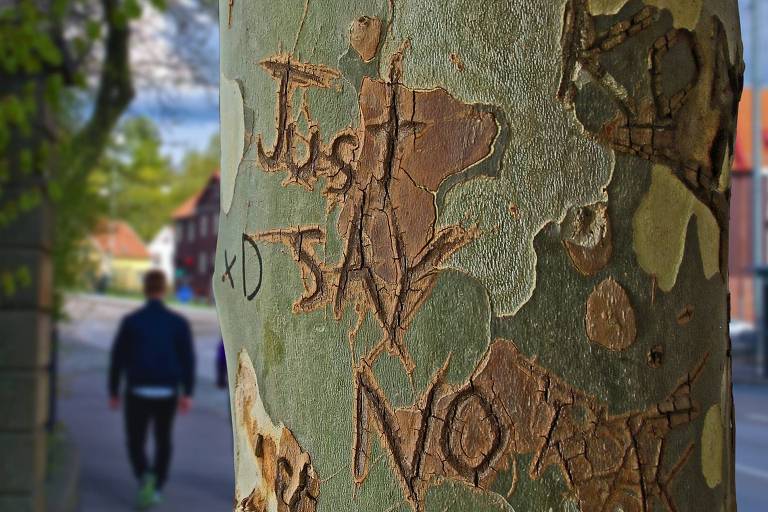 Na árvore está escrito: 'apenas diga não'